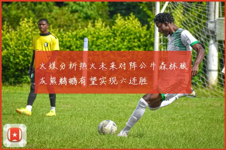 火媒分析热火未来对阵公牛森林狼灰熊鹈鹕有望实现六连胜